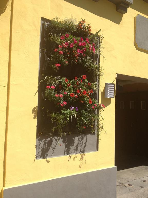 Hotel De Nevers Lourdes Zewnętrze zdjęcie